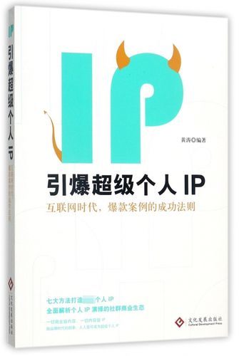 引爆**个人ip(互联网时代爆款案例的成功法则)